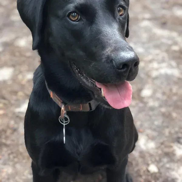 Luna, chien de Alexandra